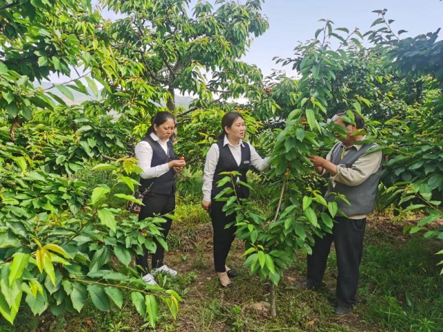 ��أ�Χ�ơ����족��ҵ �����������