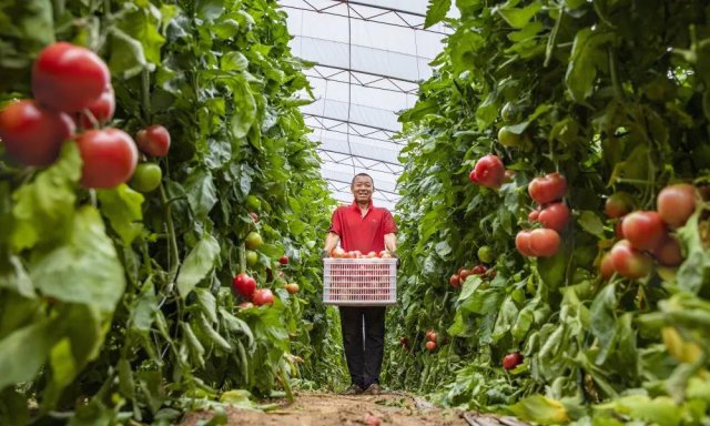 �˳�ũ�����У���׼���������ġ�����