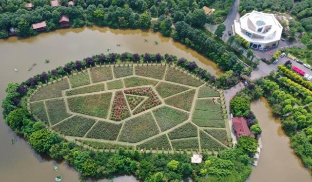 ����ͭ����������԰���� �ƶ��������