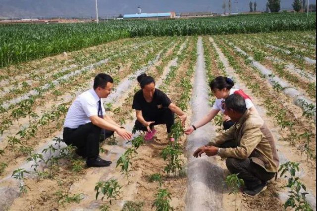 Ӧ��ũ�����У��ƽ����������š� ����ũ�ŵ���