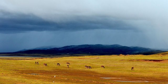 �ɿ��������־޴������� ��˭��Ⱦ���й���һ���ҹ�԰��