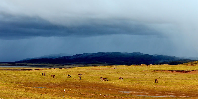 可可西里再现巨大垃圾带 是谁污染了中国第一国家公园?