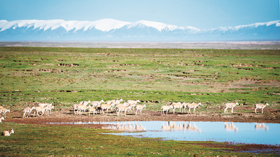 ��̬����������ɫ�̾͸�������չ��ɫ