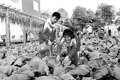 ��ʱ���Ͷ�����ӦΪѧ���ɳ�����