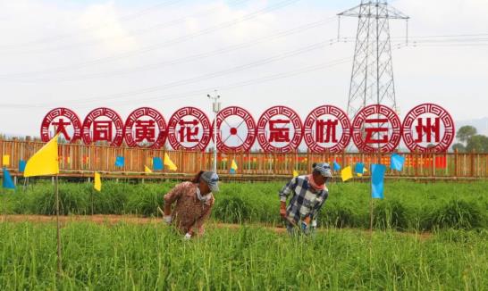 ����ũ���ж�벢�������ƻ���ժ