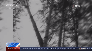 ���������һҳ