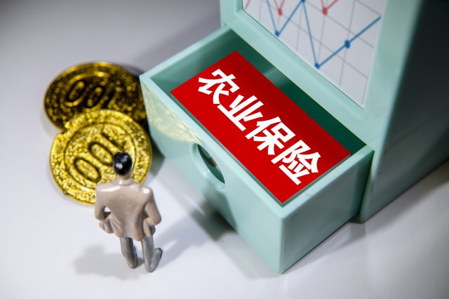 ��������ũҵ���ճ�Ϊũҵ�������ϵ���Ҫ�ֶ�