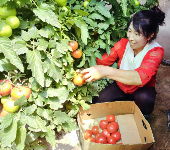 ��Դũ����֧�ִ����ҵ