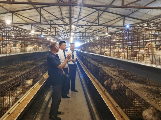 ��ϲũ�����У����л��ս��� �����������