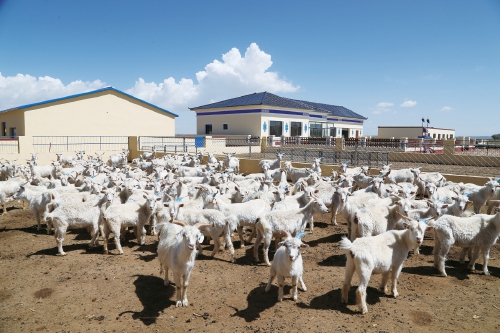 ���ԭ�ϵġ��������롱