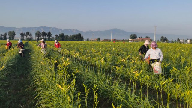 ��������������500Ķ�ƻ���ҵ԰����ʼ��ժ