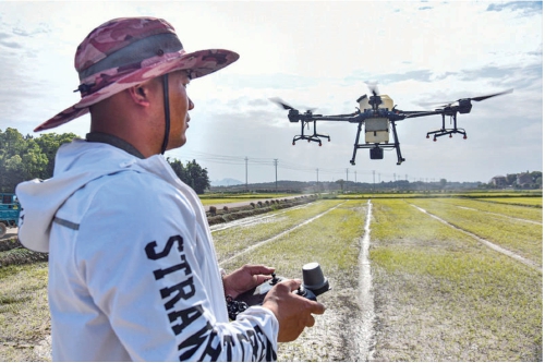 ������ũ����������4��