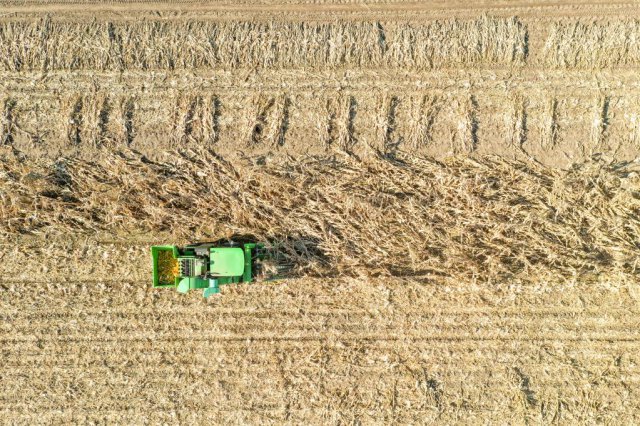 �����ر��������¡����������ֱ����������¹۲�