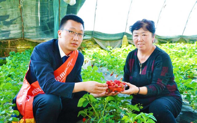 ���������磺����֧ũ֧С �����������