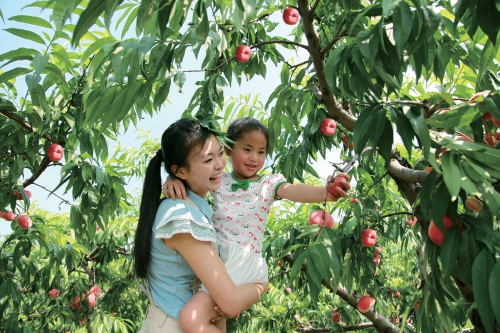 ƽ�ȴ��ҳ�ɽ��