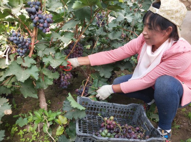 ��Դũ���У����Ѽ����¸���