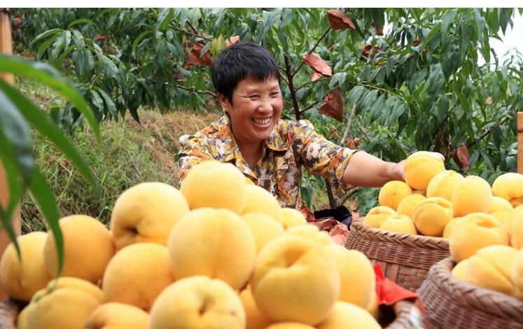 �������᣺���Ҳ�ҵ�����������