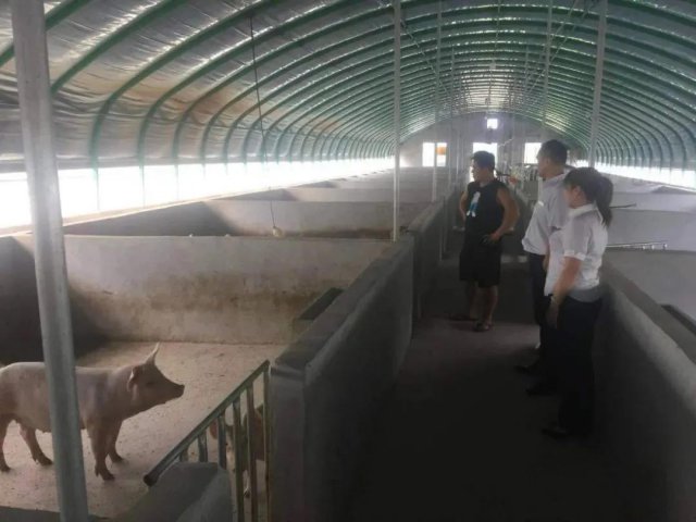 ����ũ������  Ϊ������ֳע�롰�������ϡ�