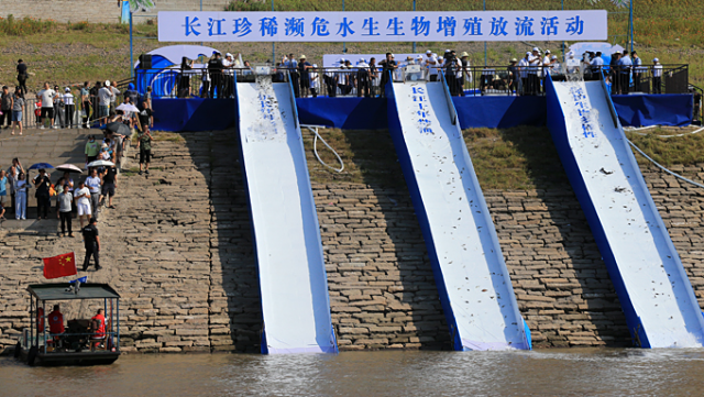 �л��ࡢ�����ࡢ��֬�㡭��5����β��ϡ��Σˮ������Ź鳤��