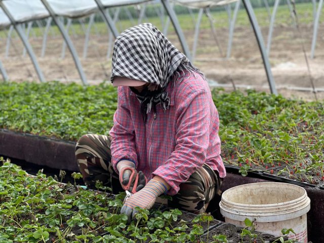 �����ԡ��˲�ҵ�����������������塱ҡ�䡰���۴塱