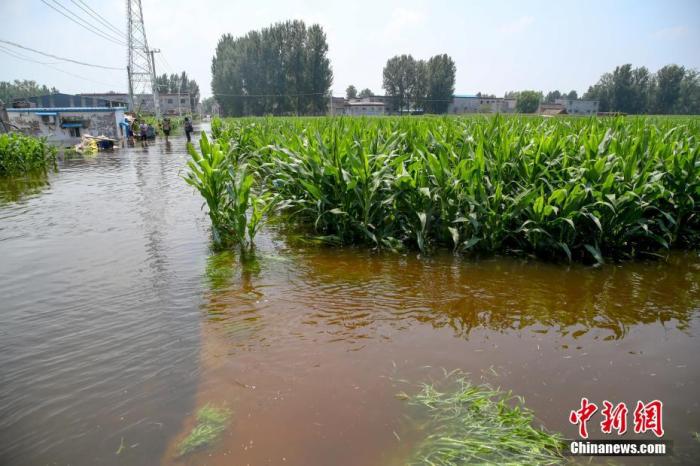 ͼ725գϿСɴ壬Ƭ׵ؽˮС <a target='_blank'  data-cke-saved-href='http://www.chinanews.com/' href='http://www.chinanews.com/'><p align=