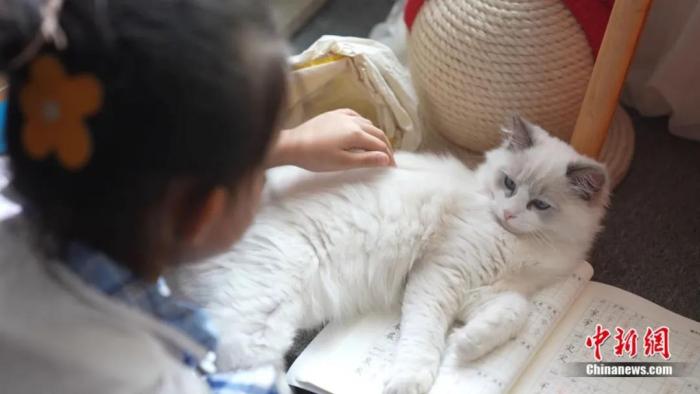 ���������һҳ