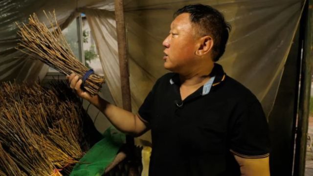 ��2000����ĲƸ�,��Ȼ������һ���������۵���֦