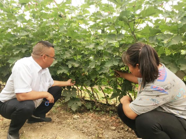 ����ũ�����У����Ĳ�������ʵ�°쵽����ͷ