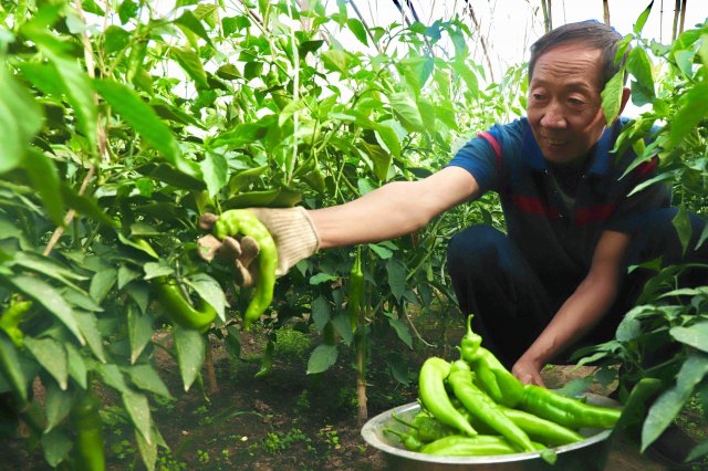 ����ũ���У���б�Ŵ��ʽ� �����ط���չ