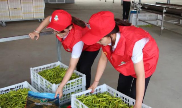 ����ũ���з��Ӹܸ����ã�������С�ƻ����˶����ҵ