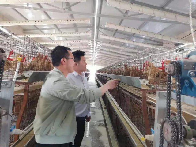 ����ũ�����л������С���ΪȺ�ڰ�ʵ�¡� ���õط�����������