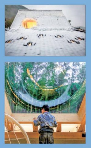 ���ܴ��� ��ʰ���  �����߽�����פ��滮ʦȺ��