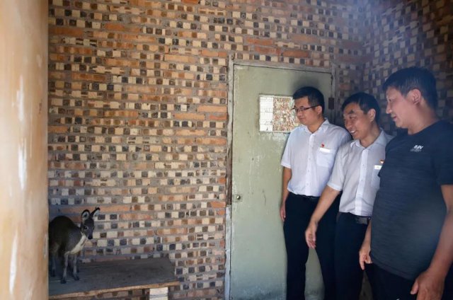 ������˵�������ǳ�ũ���������������������ɫ��ҵ