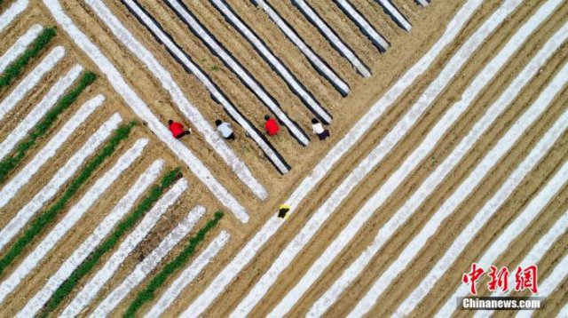 ������ȫ���������飺2019��ĩȫ������19.18��Ķ