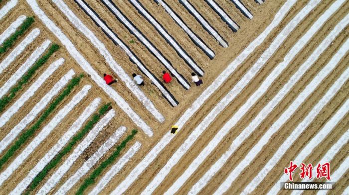 ���������һҳ