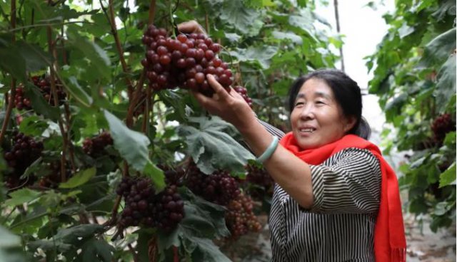 ��ͬũ���С����ڻ�ˮ������ũ��������