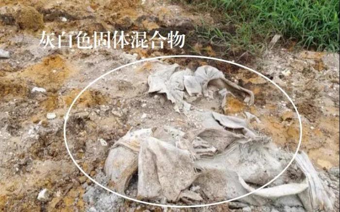 ���������һҳ