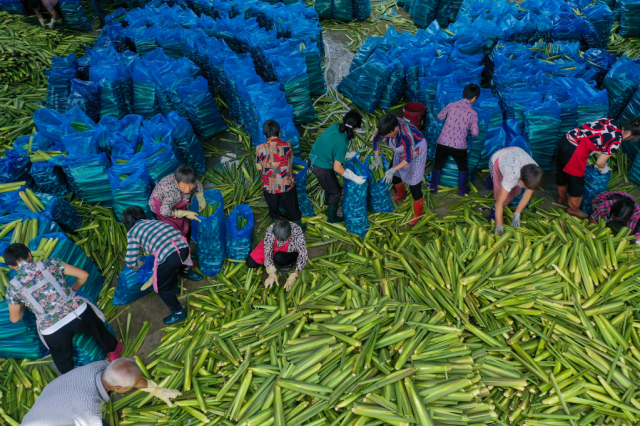 �ӡ��������֡����㽭���������ͬ��ԣ����̽·�ȷ�