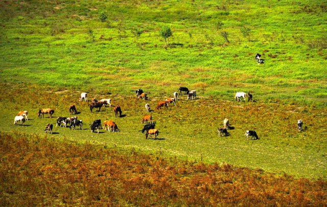 ������ƶ�󣺡����Ӳ��ܿ࣬����������