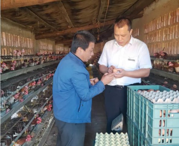 ����ũ��������Ȫ֧�У��������ˡ������ѡ�