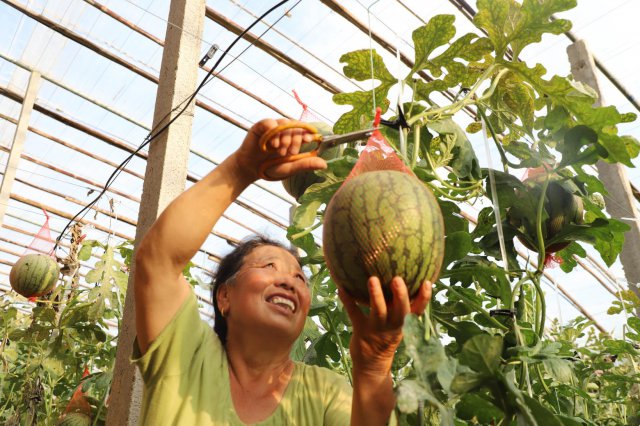 ����ũ���У����ڡ����ء��������������̳��¸�·