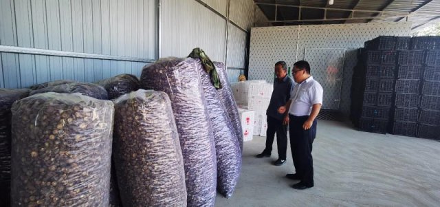 ����ũ�����У����¸�ɡ�����������������