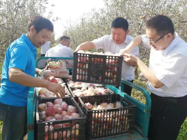 ���ũ������  Ũ����� ��������