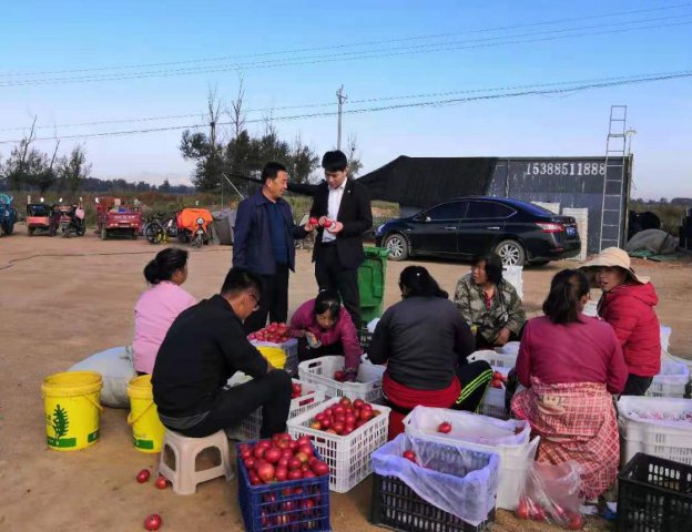 ũ����� �Ż����� ɽ��ũ��������֧��Ӫ����������Ƚ�