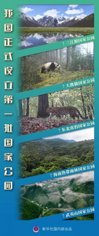 ��һ�����ҹ�԰��ʽ�������������������ڴ���