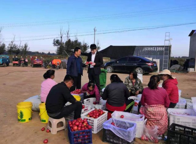 ɽ��ũ�����л�����չ��ũ����� �Ż��������ۺ�Ӫ���