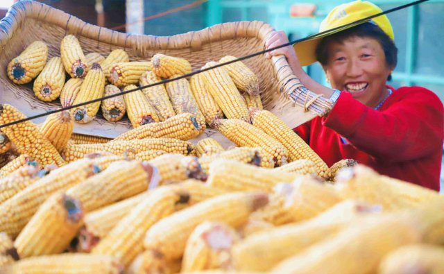 ���׷��ս���Ժ��ũ����ɹЦ����