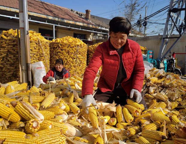 ��Դũ���б����ʽ�Ӧ ���������Ȳ�����