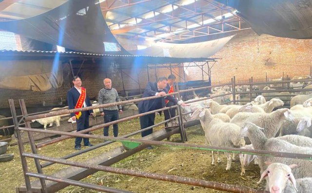 ��ˮ�����벢�������������