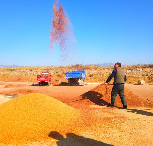 ��Դũ�����С����������״����